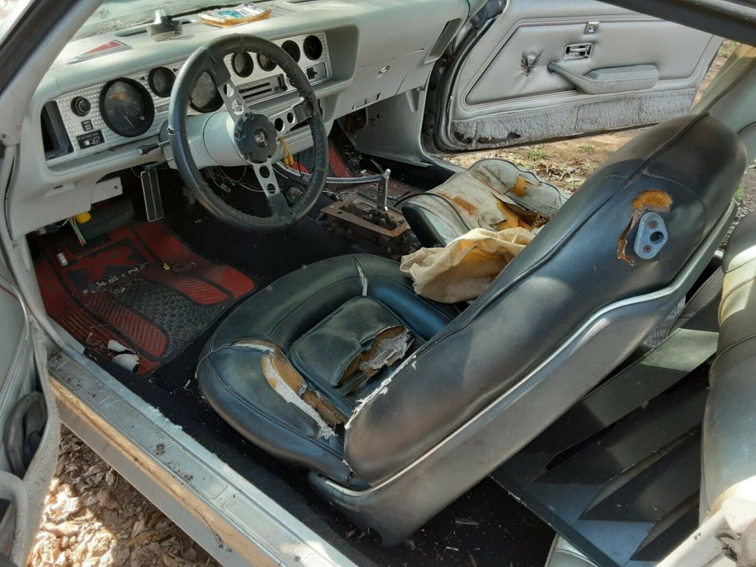 1979 Pontiac Trans Am 10th Anniversary Edition - photo 8