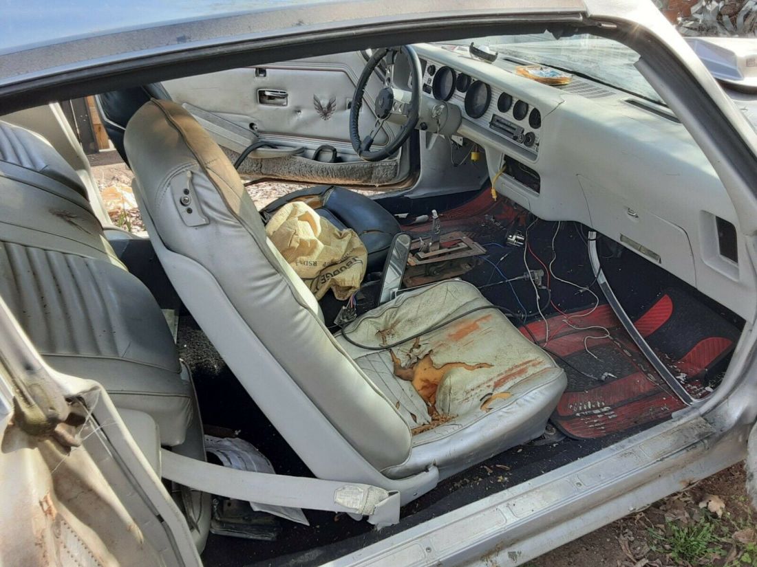 1979 Pontiac Trans Am 10th Anniversary Edition - photo 9