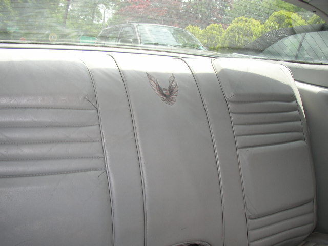 1979 Pontiac Trans Am 10th Anniversary - photo 10