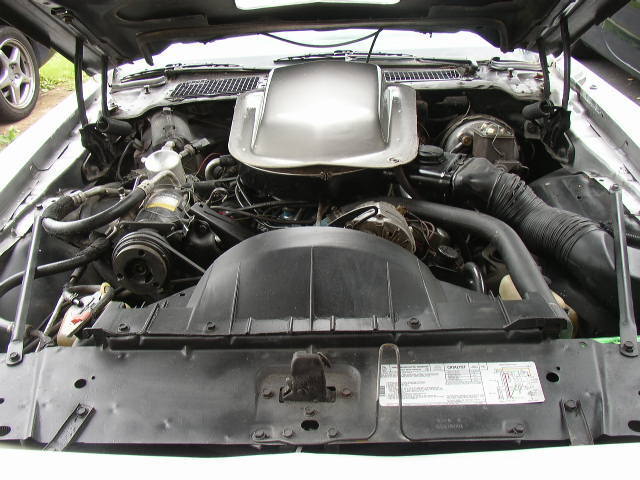 1979 Pontiac Trans Am 10th Anniversary - photo 12