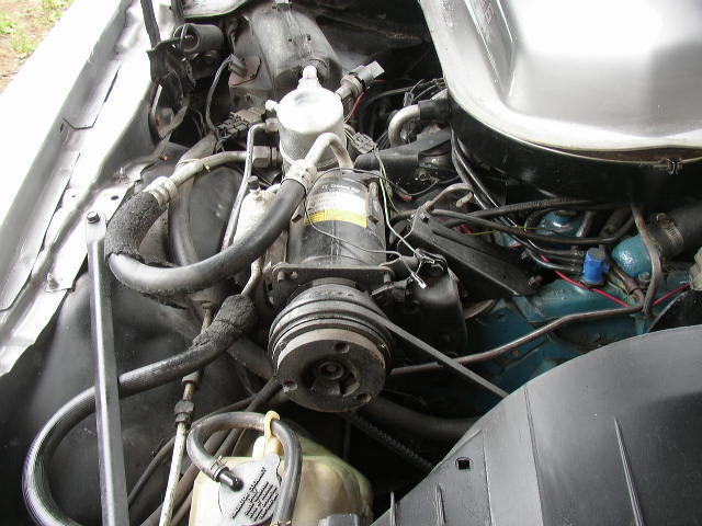 1979 Pontiac Trans Am 10th Anniversary - photo 13