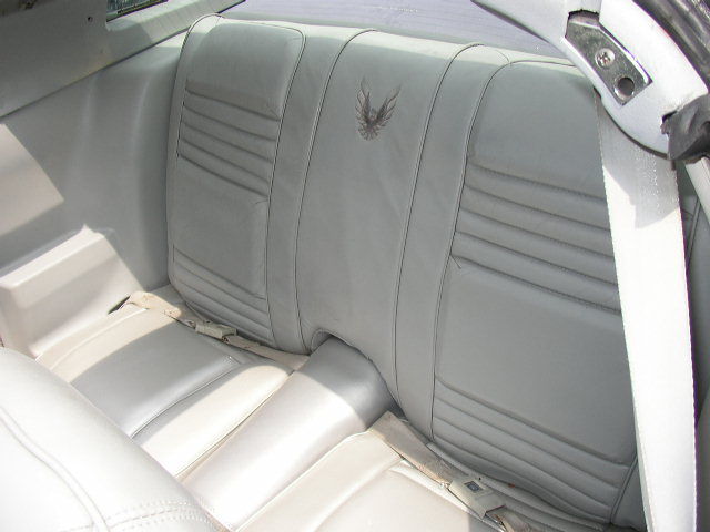 1979 Pontiac Trans Am 10th Anniversary - photo 9