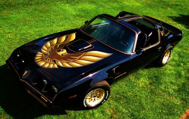 1979 Pontiac Trans Am Best Bandit In The World? - photo 2