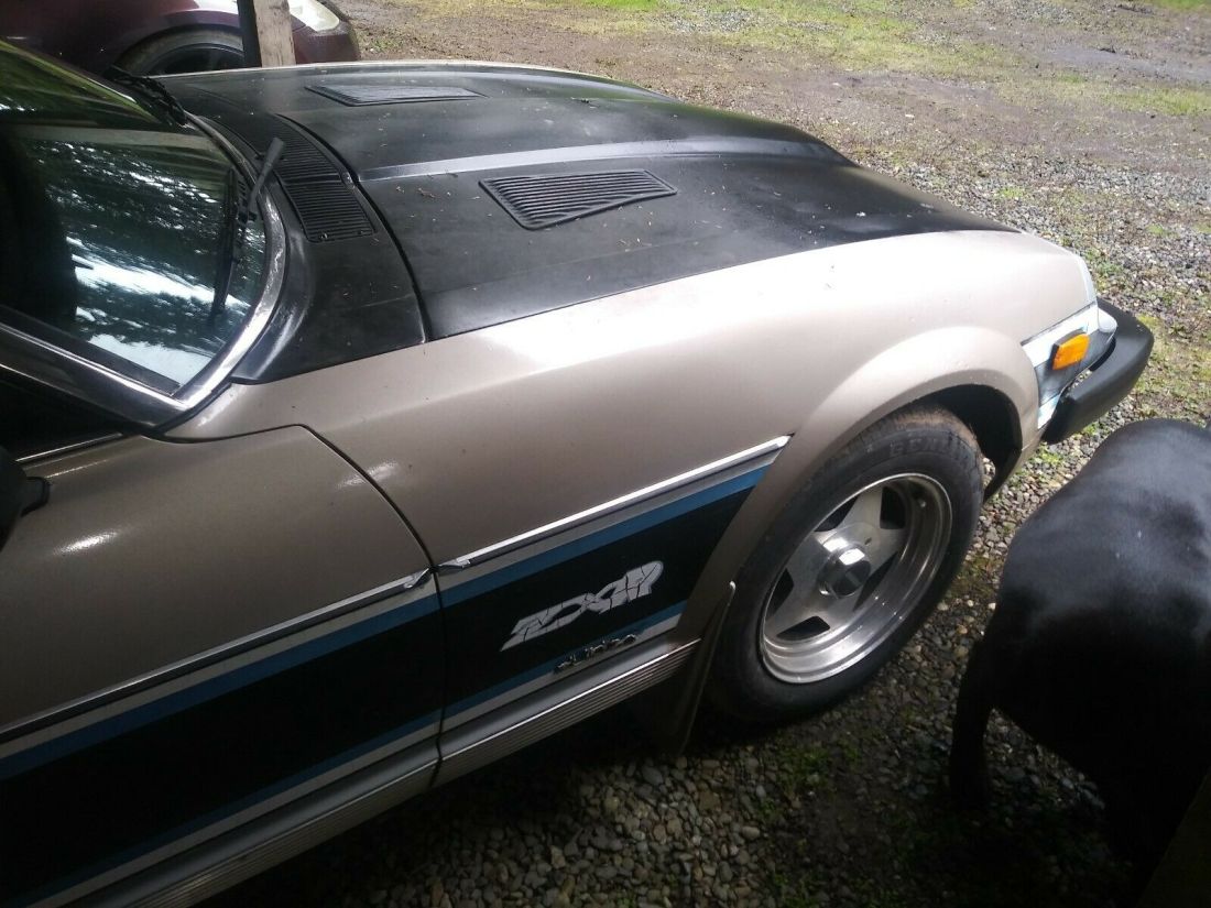 1979 Datsun Z-Series ZX-R - photo 10