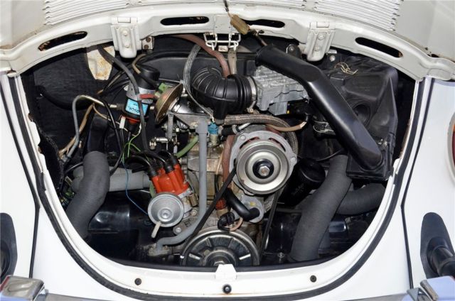 1979 Volkswagen Beetle - Classic - photo 6