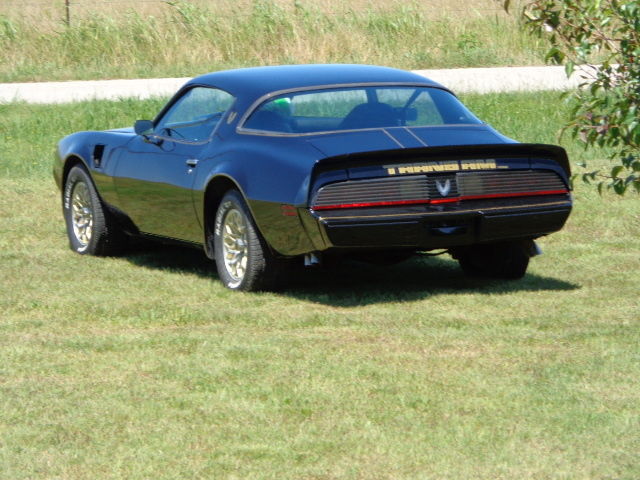 1979 Pontiac Trans Am - photo 10