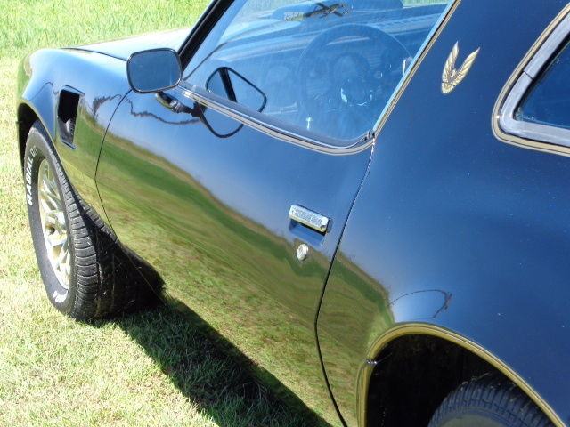 1979 Pontiac Trans Am - photo 11