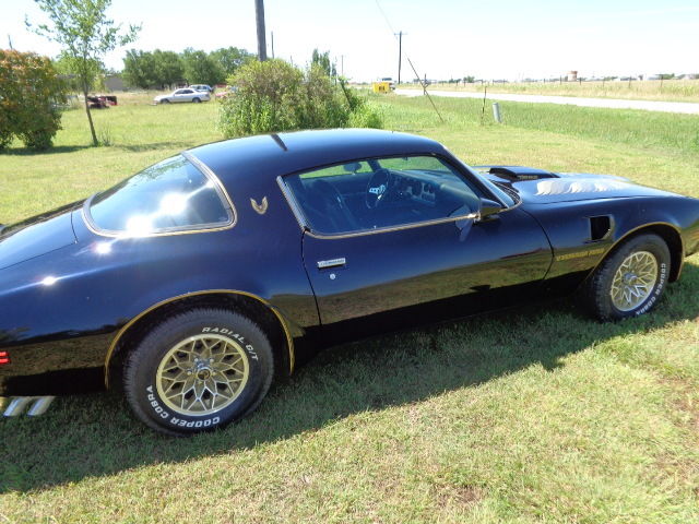 1979 Pontiac Trans Am - photo 12
