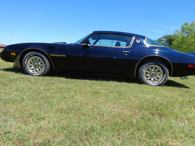 1979 Pontiac Trans Am - photo 13