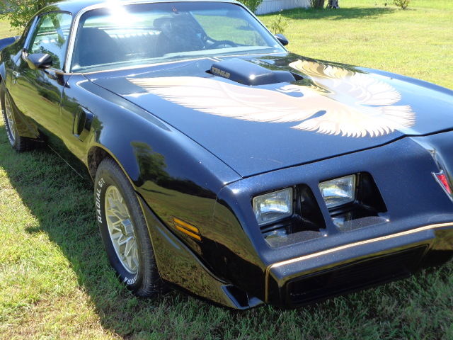 1979 Pontiac Trans Am - photo 4