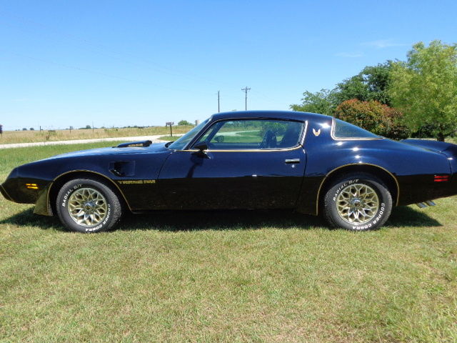 1979 Pontiac Trans Am - photo 5