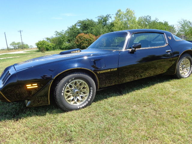 1979 Pontiac Trans Am - photo 6