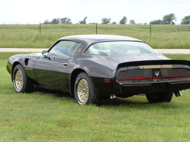 1979 Pontiac Trans Am - photo 8