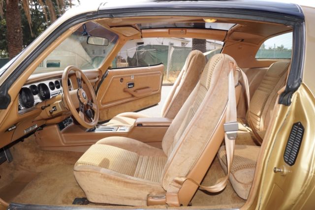 1979 Pontiac Trans Am WITH 43K ORIG MILES & 1 CALIF OWNER SINCE NEW! - photo 10