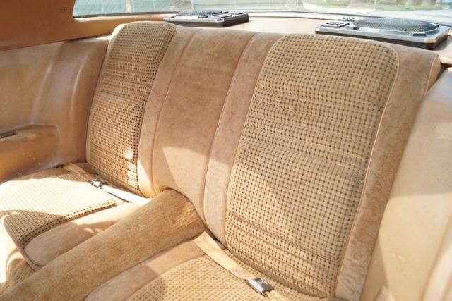 1979 Pontiac Trans Am WITH 43K ORIG MILES & 1 CALIF OWNER SINCE NEW! - photo 5
