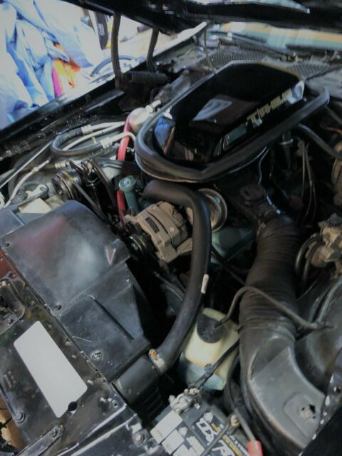 1979 Pontiac Trans Am Special Edition Y84 - photo 8