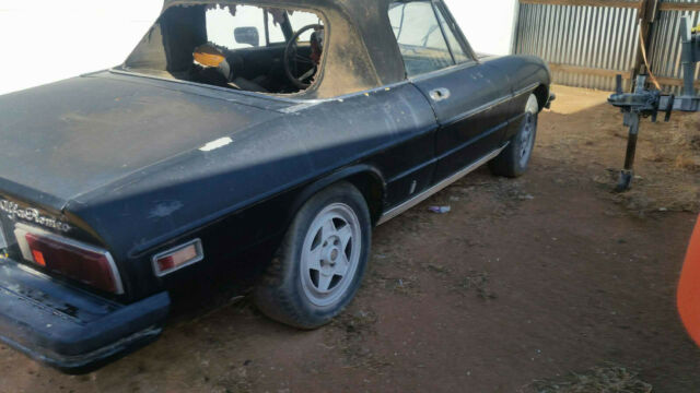 1979 Alfa Romeo Spider - photo 3