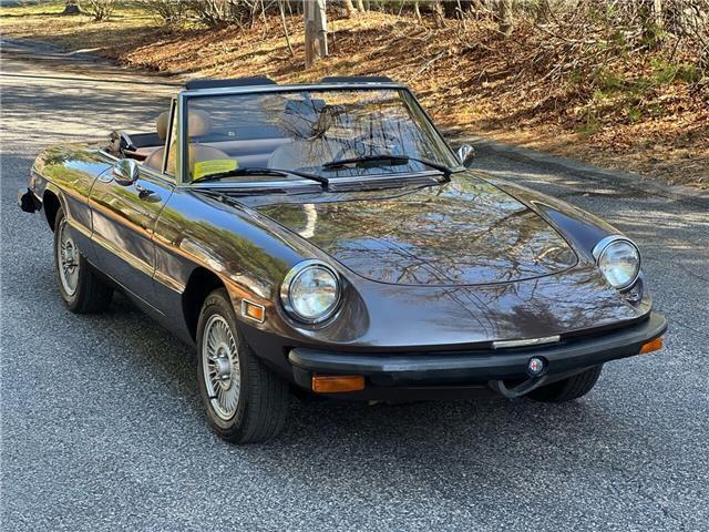 1979 Alfa Romeo 2000 Spideer Veloce - photo 3