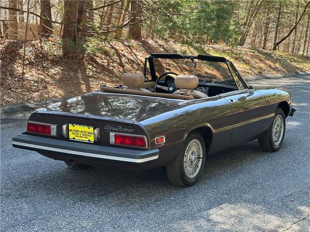 1979 Alfa Romeo 2000 Spideer Veloce - photo 9
