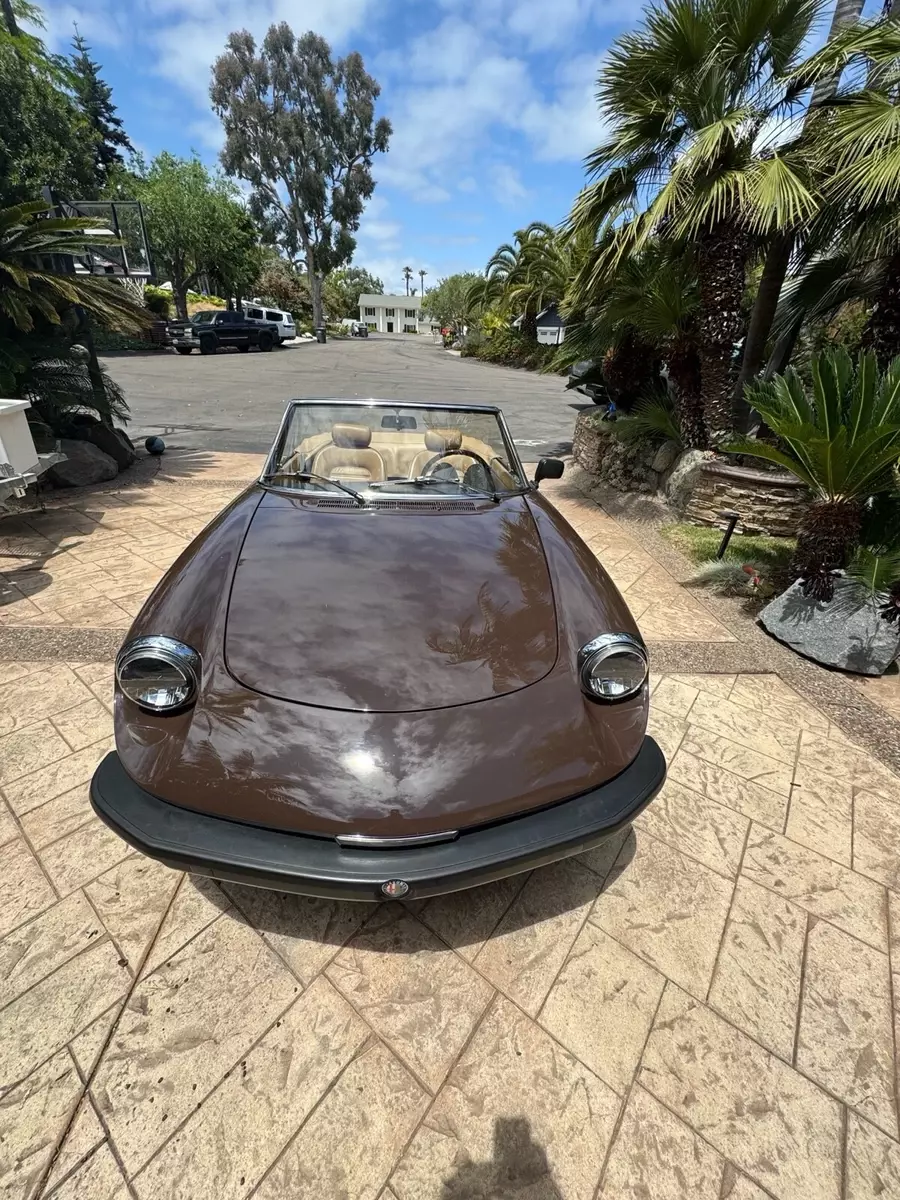 1979 Alfa Romeo Spider Convertible Brown 1979 Alfa Romeo Spider