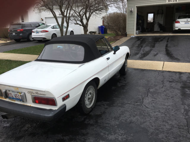 1979 Alfa Romeo Spider Veloce - photo 2
