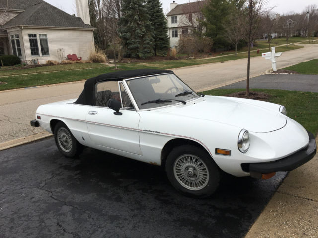 1979 Alfa Romeo Spider Veloce - photo 3