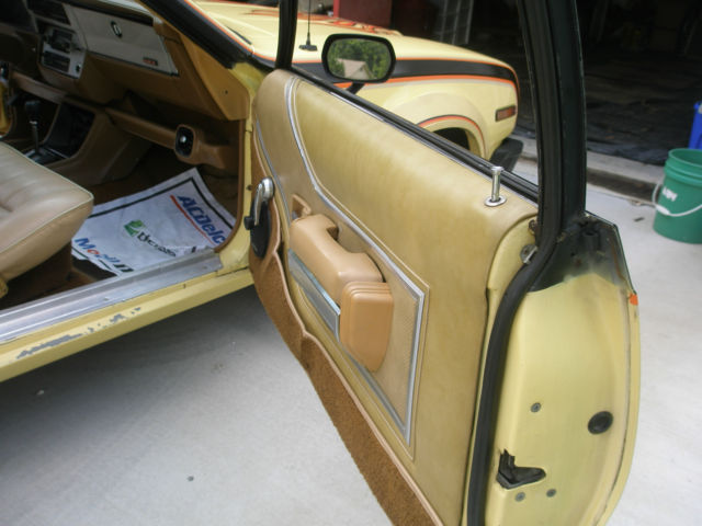 1979 AMC AMX - photo 9