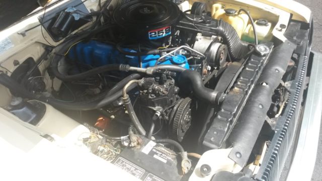1979 AMC Other - photo 6