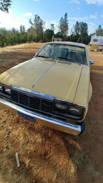 1979 AMC 1979 AMC Concord DL, Coupe tan - photo 6