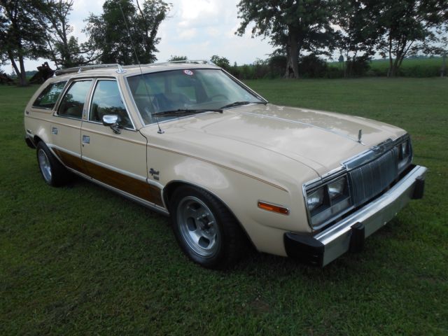 1979 AMC CONCORD SPIRIT - photo 5
