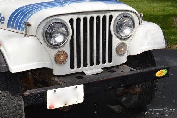 1979 Jeep CJ Renegade - photo 8