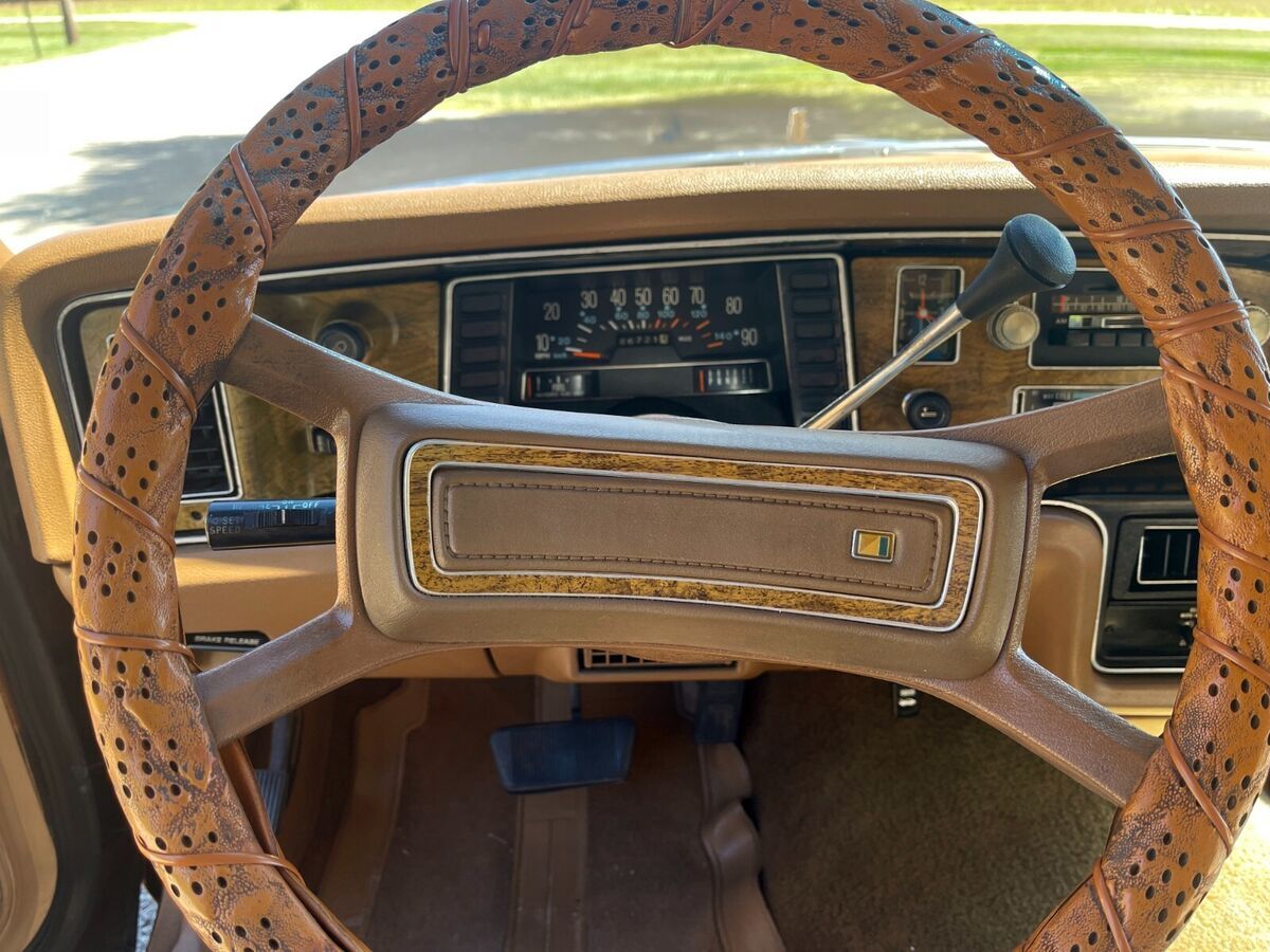1979 AMC Pacer DL - photo 13