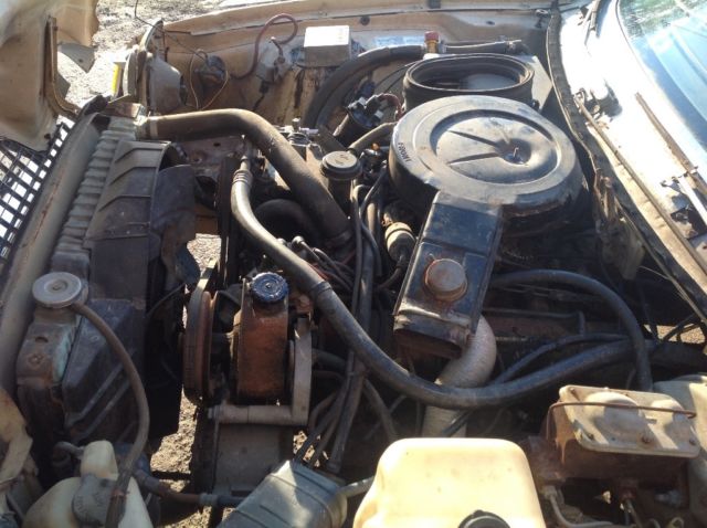 1979 AMC Pacer Pacer wagon limited factory v8 - photo 7