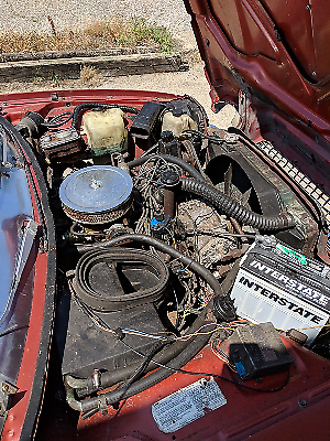 1979 AMC Pacer Limited - photo 10