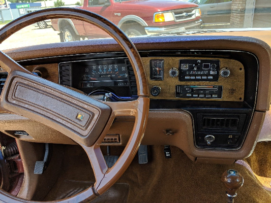 1979 AMC Pacer Limited - photo 2
