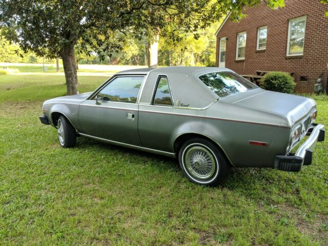 1979 AMC Silver Anniversary Concord DL - photo 6