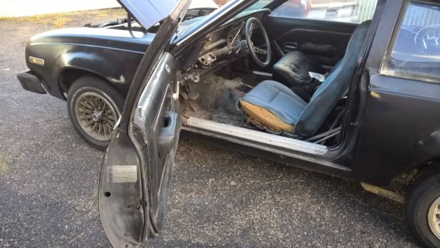 1979 AMC Other - photo 5