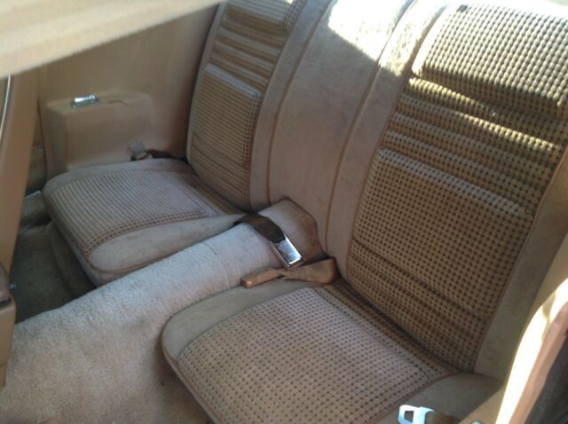 1979 Pontiac Trans Am - photo 10