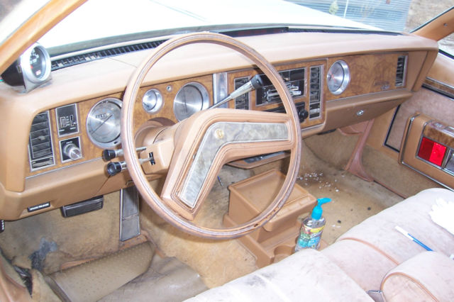 1979 Buick Electra - photo 6