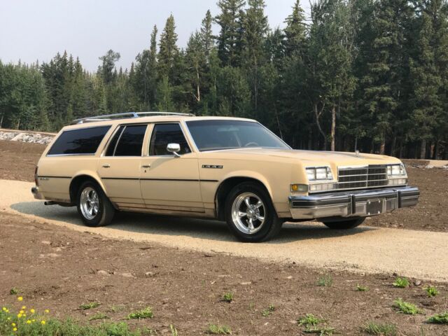 1979 Buick Estate Wagon - photo 5