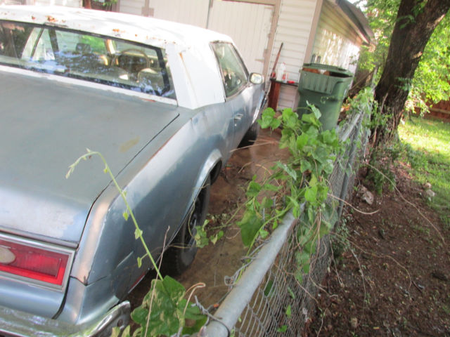 1979 Buick Riviera wood laminate - photo 4