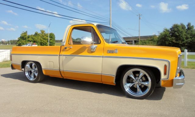 1979 Chevrolet Other Pickups Silverado - photo 10