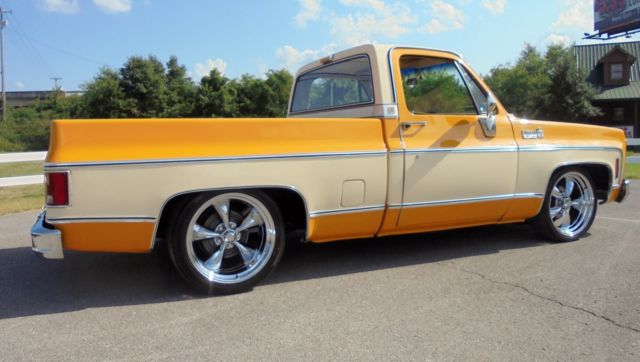 1979 Chevrolet Other Pickups Silverado - photo 11