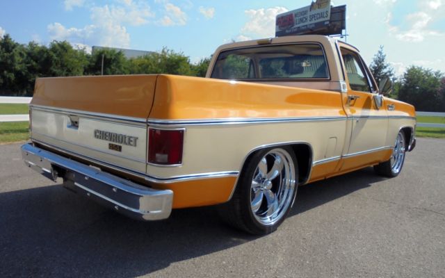 1979 Chevrolet Other Pickups Silverado - photo 12