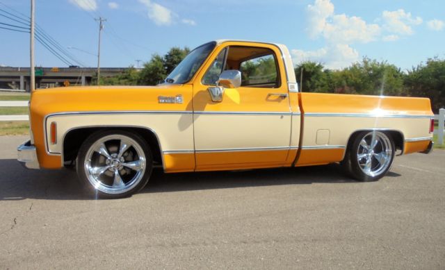 1979 Chevrolet Other Pickups Silverado - photo 3