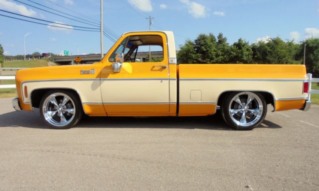 1979 Chevrolet Other Pickups Silverado - photo 4