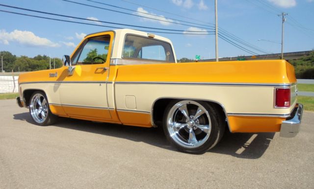 1979 Chevrolet Other Pickups Silverado - photo 5