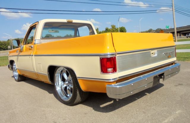 1979 Chevrolet Other Pickups Silverado - photo 6