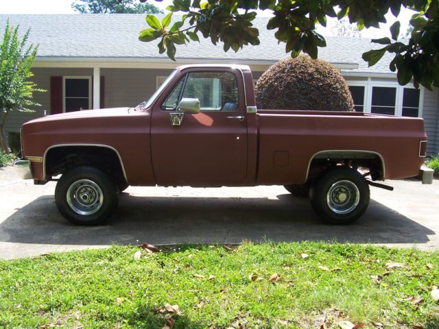 1979 Chevrolet C-10 C10 - photo 3