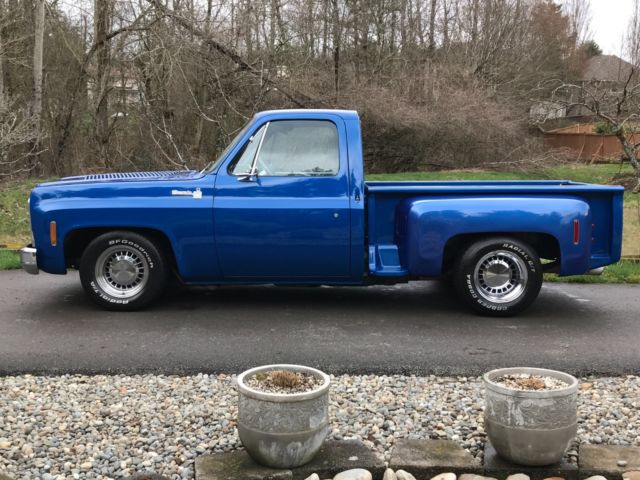 1979 Chevrolet C/K Pickup 1500 Silverado - photo 3